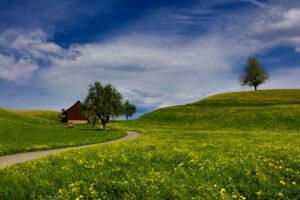 The Charm of the Countryside